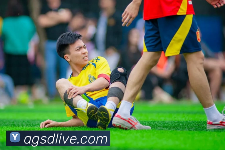 色碟官网品牌故事