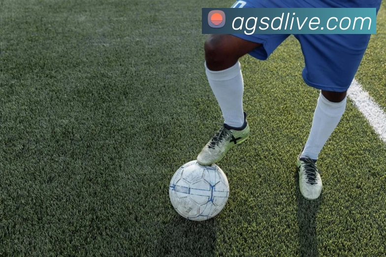 色碟官网服务体系